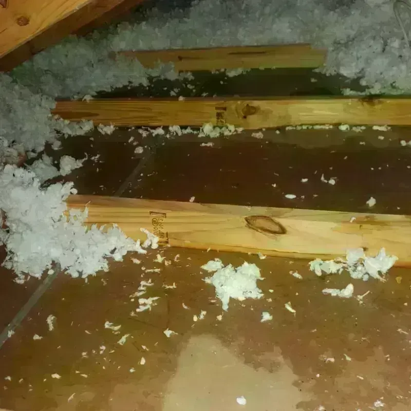 Attic Water Damage in Weatherby Lake, MO